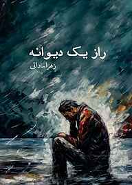 کتاب راز یک دیوانه نشر مانیان   
