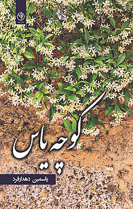کتاب کوچه یاس نشر بید   