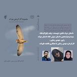 برف شادی