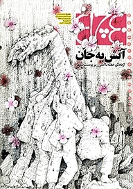 کتاب هفته نامه چلچراغ شماره 695 نشر چلچراغ -  