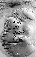 پرسه زیر درختان تاغ