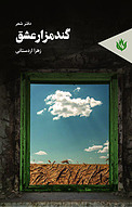 گندمزار عشق