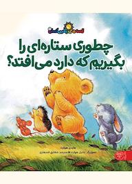 کتاب چطور ستاره ای را بگیریم که دارد می افتد؟ اثر هایدی هوارث نشر کتاب پارک