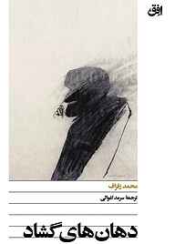 کتاب دهان‌های گشاد نشر افق   