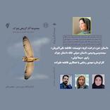 من، درخت، گربه