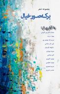 برکه صور خیال