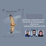دست نامرئی