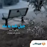 چهل نامه به ماه