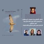 آکاردئون بزرگ