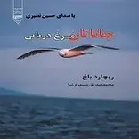 جاناتان مرغ دریایی