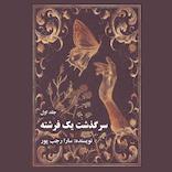 سرگذشت یک فرشته جلد 1