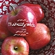 رویاها برگشته اند
