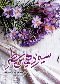 کتاب سیزدهمین سطر زینب ربانی مصعبی نشر روایت فتح