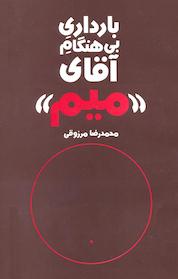 کتاب بارداری بی هنگام آقای میم اثر محمد ورزوقی نشر انتشارات روشنگران و مطالعات زنان