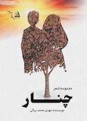 چنار