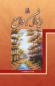 کتاب دیوان واسع نشر انتشارات نظری   
