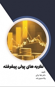 کتاب نظریه های پولی پیشرفته نشر نور علم   