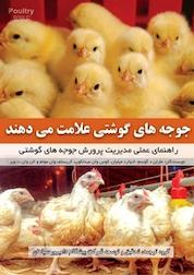 کتاب جوجه های گوشتی علامت می دهند اثر مارتن د گوسم نشر رنگینه
