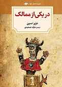 در یکی از ممالک