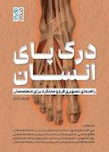 درک پای انسان