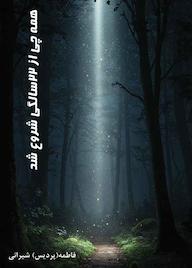 کتاب همه چیز از 22 سالگی شروع شد فاطمه (پردیس) شیرانی نشر کنکاش