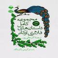 مجموعه کامل داستان های فلانری اوکانر