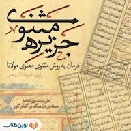 کتاب صوتی جزیره مثنوی؛ «خردمند دیوانهنما» و «حمله بردن سگ بر گدای کور» اثر مولانا