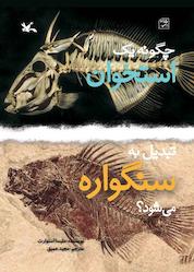 کتاب چگونه یک استخوان تبدیل به سنگواره میشود؟ اثر ملیسا استووارت نشر انتشارات کانون پرورش فکری کودکان و نوجوانان