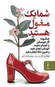 کتاب شما یک مغول هستید نشر انتشارات البرز   