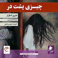 کتاب صوتی چیزی پشت در اثر هنری اسلزار