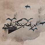 این همه پرندگان عصر