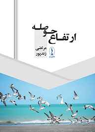کتاب ارتفاع حوصله مرتضی زندپور نشر هامون نو