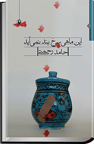 کتاب این ماهی سرخ بند نمی آید نشر مروارید   