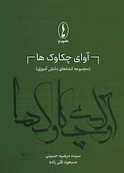 کتاب آوای چکاوکها اثر مرضیه حسینی نشر هامون نو