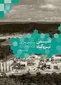 شیمی نیروگاه
