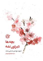 بچه‌ها دیرتون نشه (شهید مهدی رضایی‌مجد) جلد 11