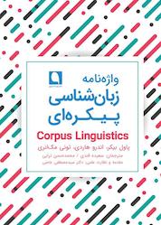 کتاب واژهنامه زبانشناسی پیکرهای اثر پاول بیکر نشر نویسه پارسی