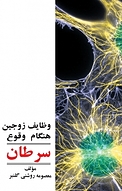 وظایف زوجین هنگام وقوع سرطان