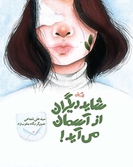کتاب شاید دیگران از آسمان می آید نشر انتشارات کتاب نیستان هنر   