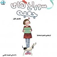 کتاب سوراخ های جعبه نشر آوارسا - نسخه صوتی 