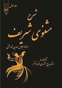 شرح مثنوی شریف جلد 1