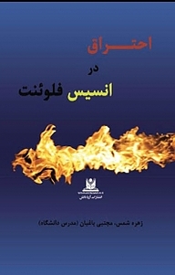 کتاب احتراق در انسیس فلوئنت نشر آریا دانش   