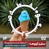 اپیزود ۲ | سایز آرزوها
