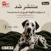 از سرنوشت فلونه خبری در دست نیست | Pet Talk