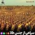 اپیزود 45 سپاهی از جنس طلا (جانشینهای اردشیر)