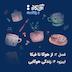 اپیزود ۴ - زندگی هوگایی