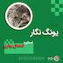 اسطوره اعتدال بهاری