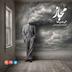 مجاز | شماره یازده | گم شدن‌ها