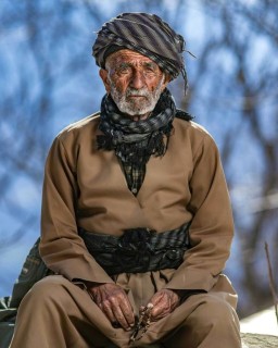 آریا 