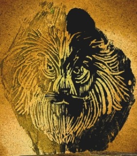 سید مصطفی جلالی